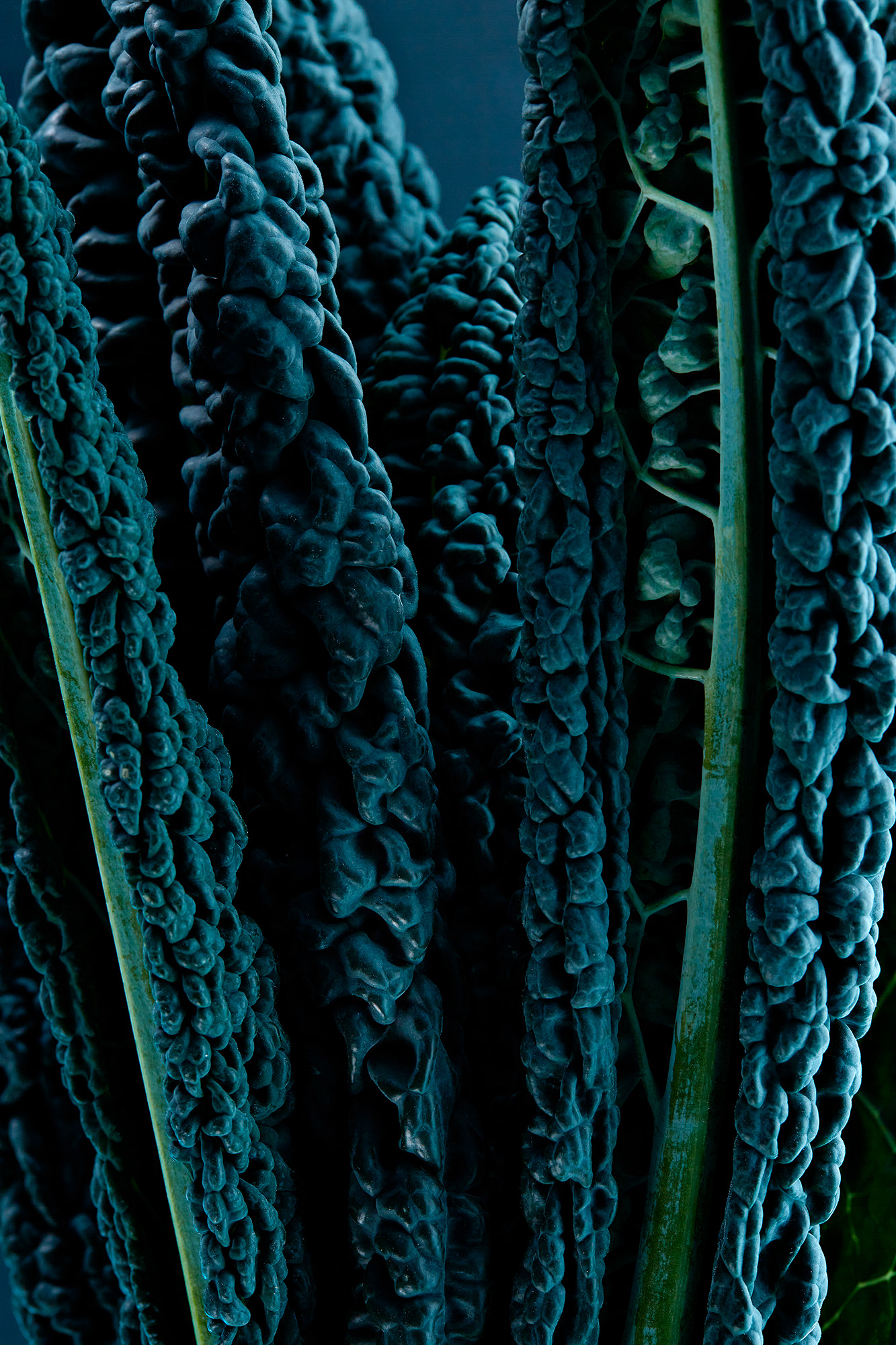 THOMAS-AANGEENBRUG-2020-FOOD-FOR-THOUGHT-CAVOLO-NERO-DETAIL-01